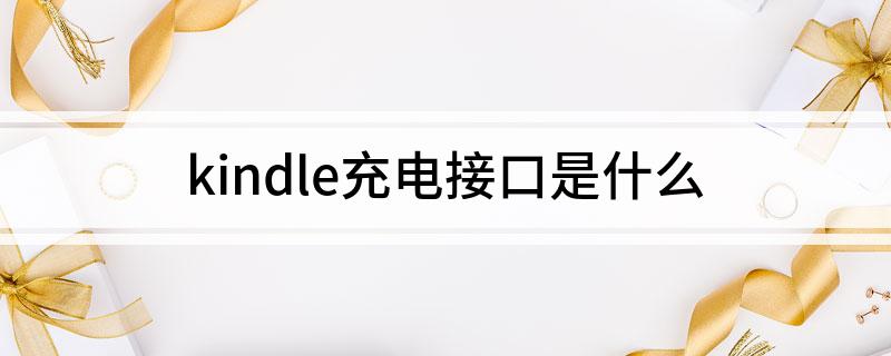 dle充电接口是什么PP电子网站kin(图1)
