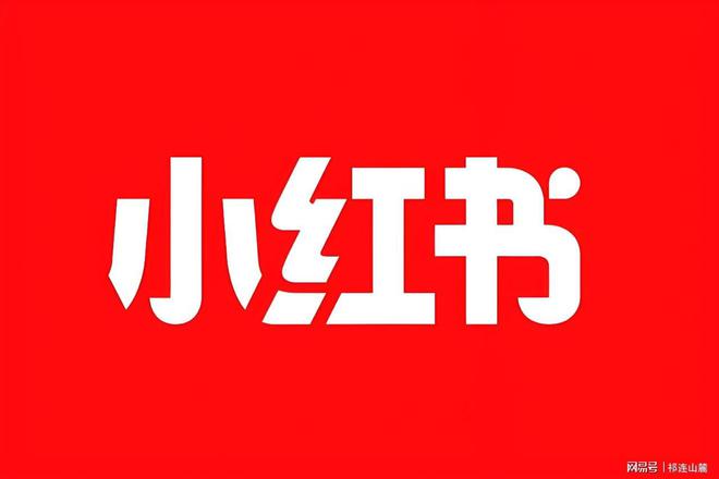 书的商业模式与竞争优势PP模拟器免费试玩小红
