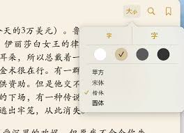 oks如何调整字体大小PP电子模拟器iBo